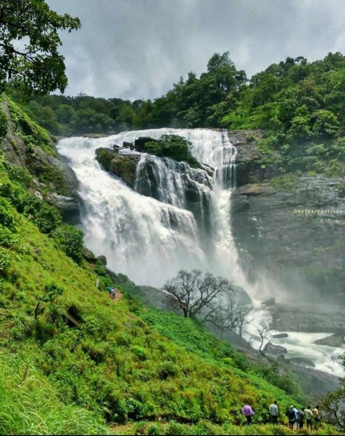 Coorg Coffee Park Farmstay Somvārpet Exteriör bild