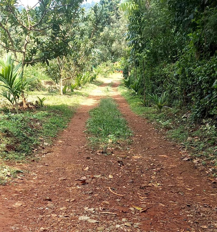 Coorg Coffee Park Farmstay Somvārpet Exteriör bild