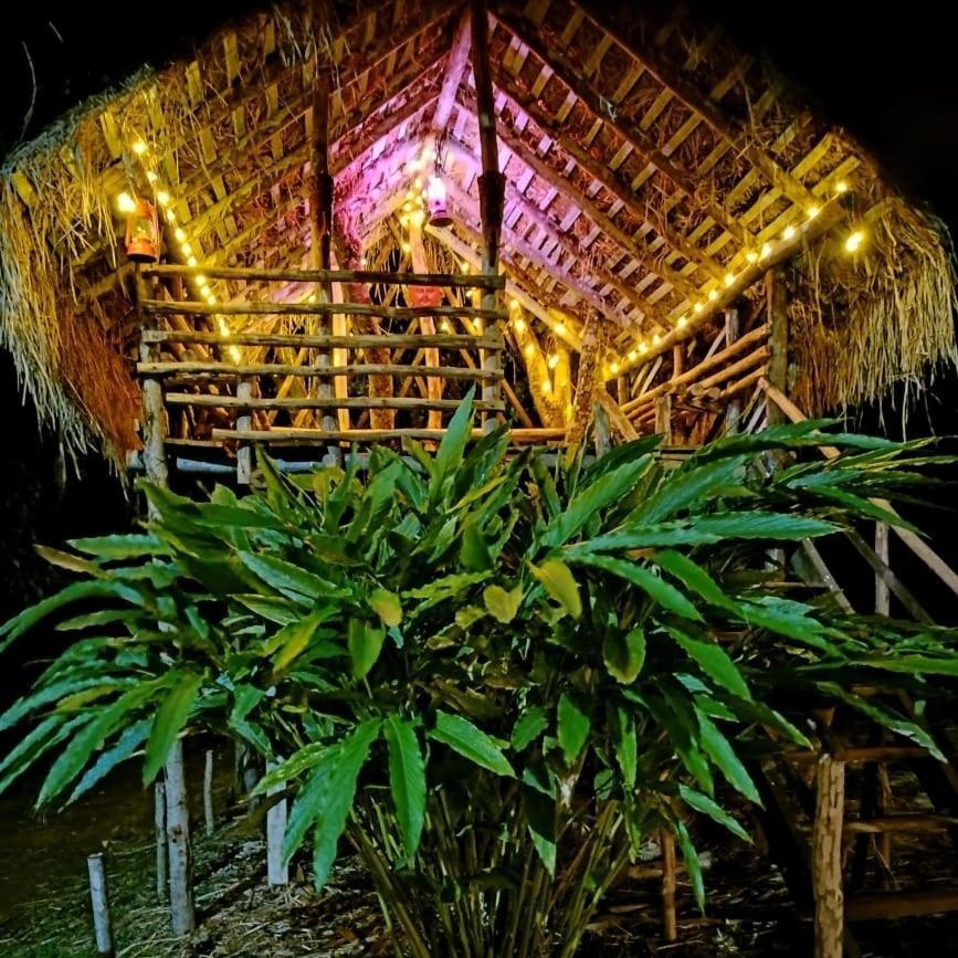 Coorg Coffee Park Farmstay Somvārpet Exteriör bild