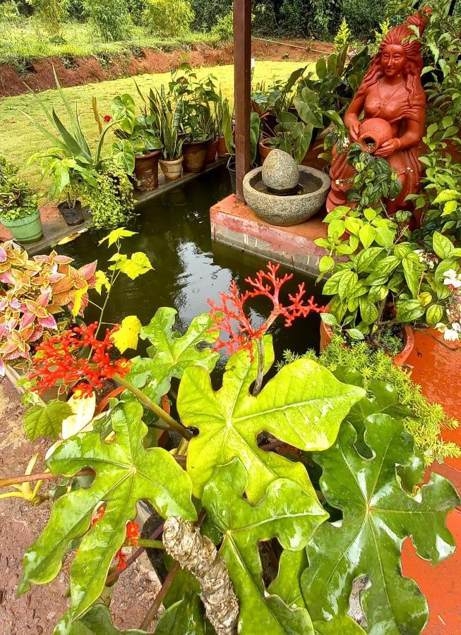 Coorg Coffee Park Farmstay Somvārpet Exteriör bild
