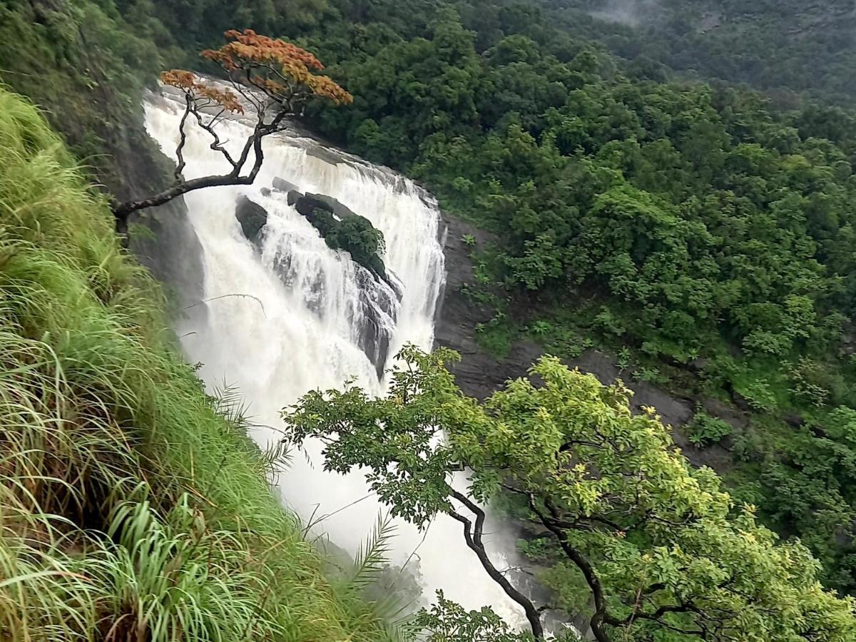 Coorg Coffee Park Farmstay Somvārpet Exteriör bild