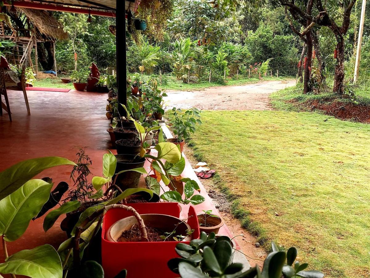 Coorg Coffee Park Farmstay Somvārpet Exteriör bild