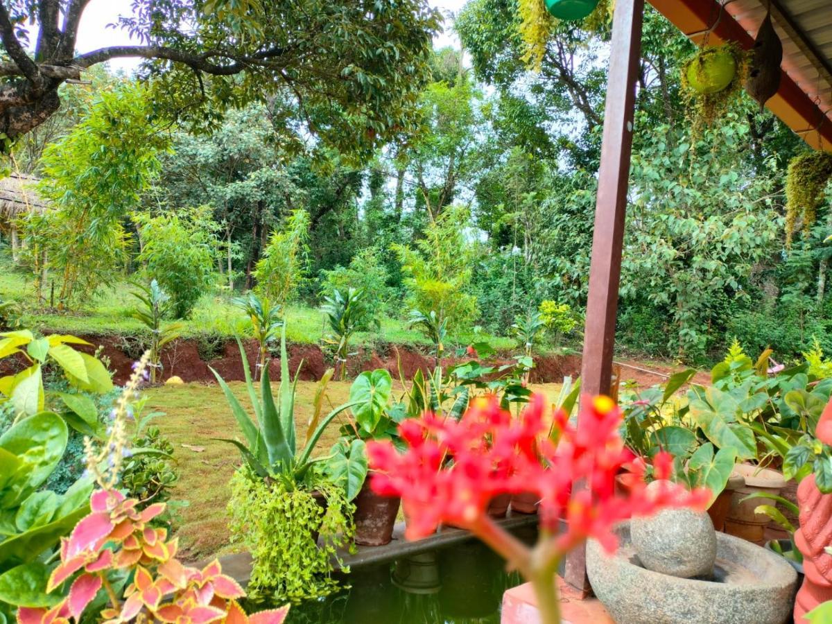 Coorg Coffee Park Farmstay Somvārpet Exteriör bild