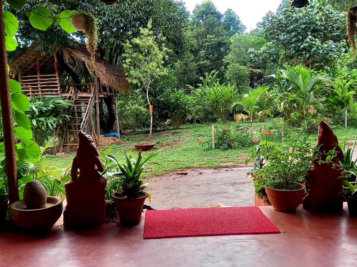 Coorg Coffee Park Farmstay Somvārpet Exteriör bild