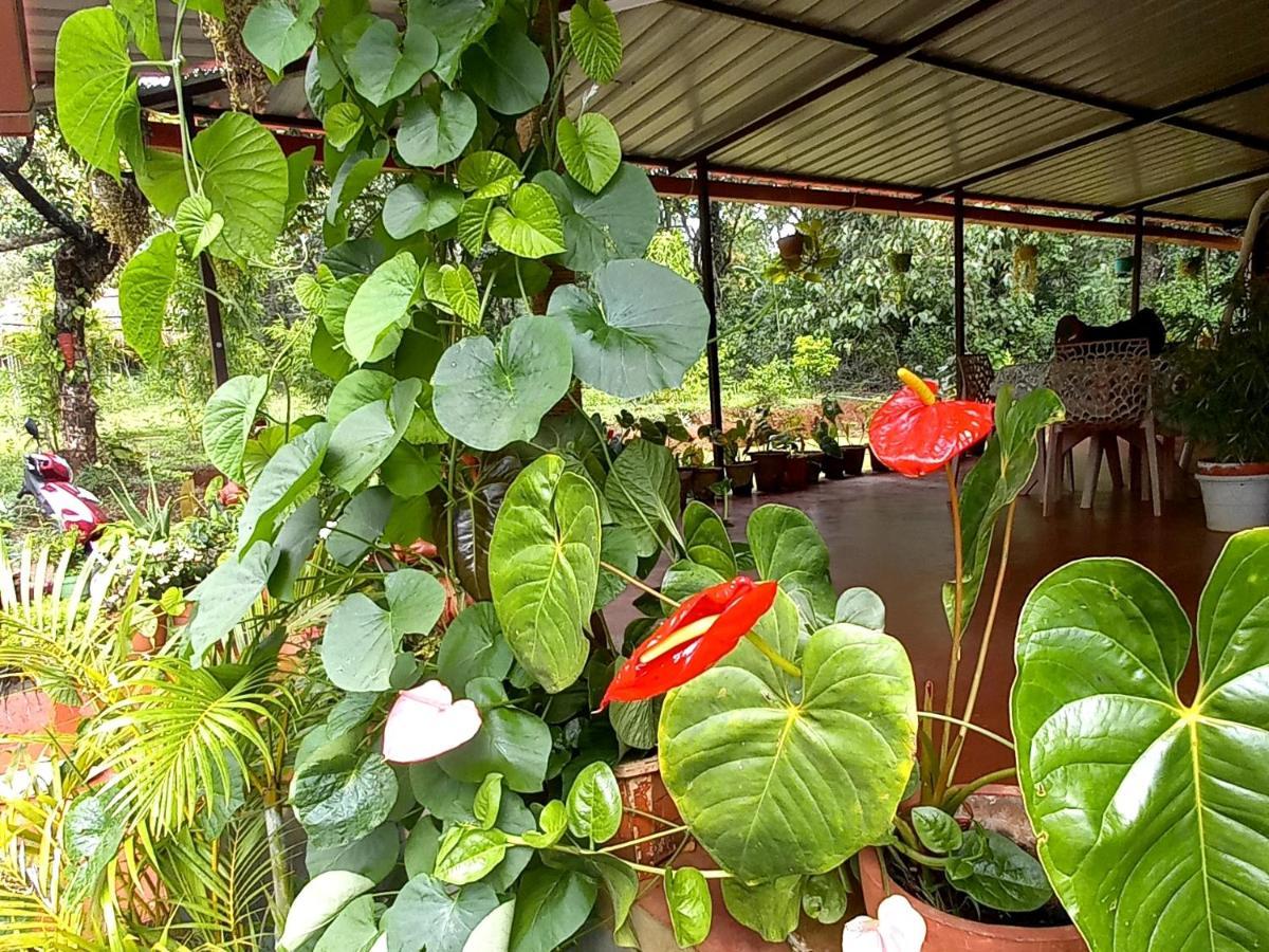 Coorg Coffee Park Farmstay Somvārpet Exteriör bild