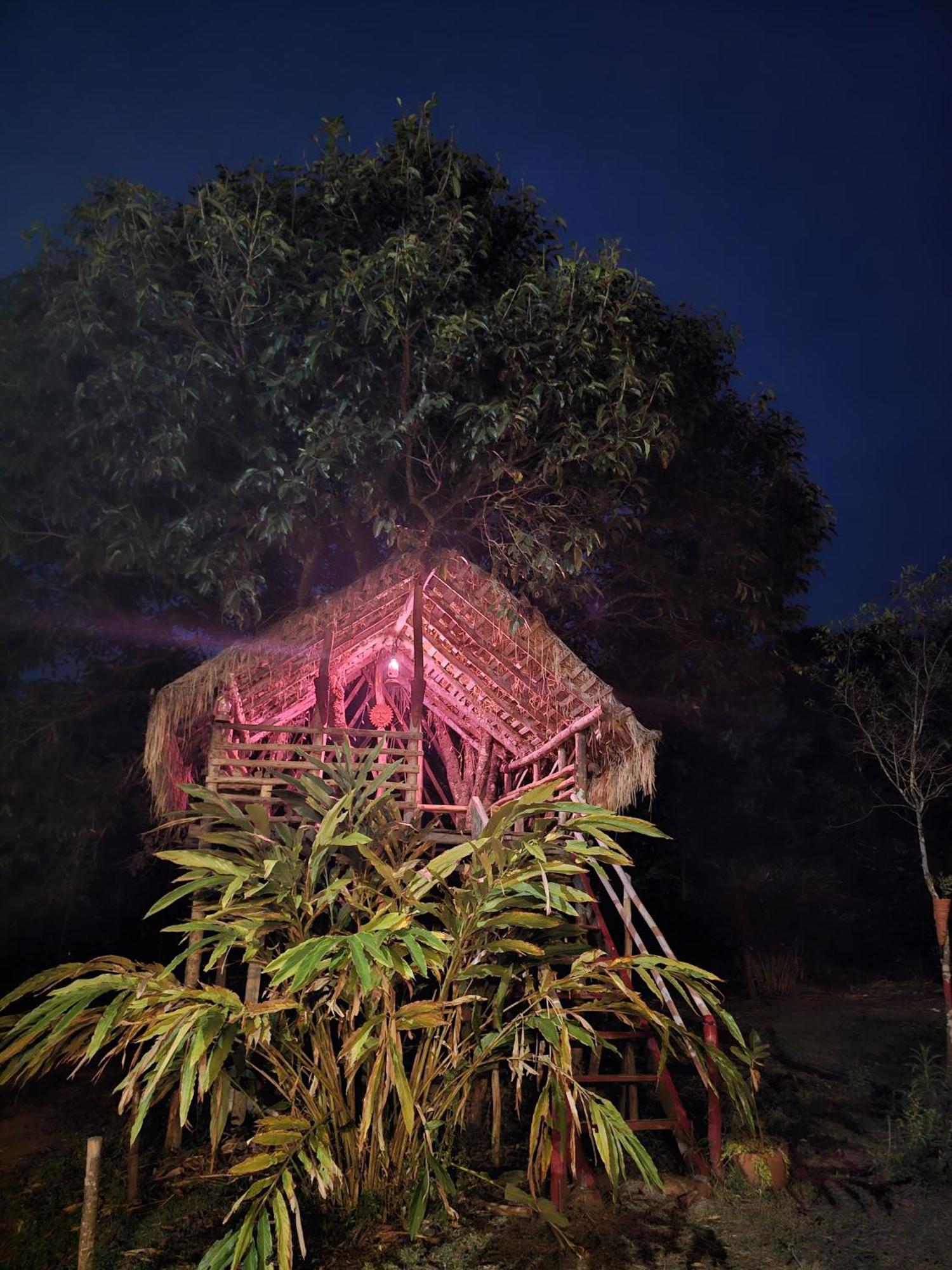 Coorg Coffee Park Farmstay Somvārpet Exteriör bild