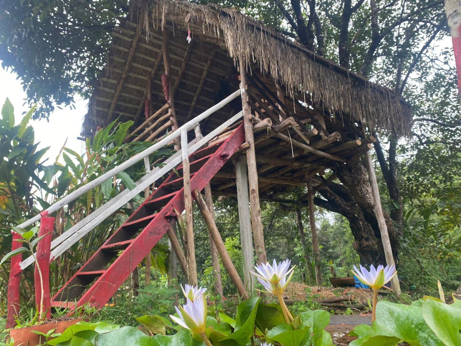 Coorg Coffee Park Farmstay Somvārpet Exteriör bild