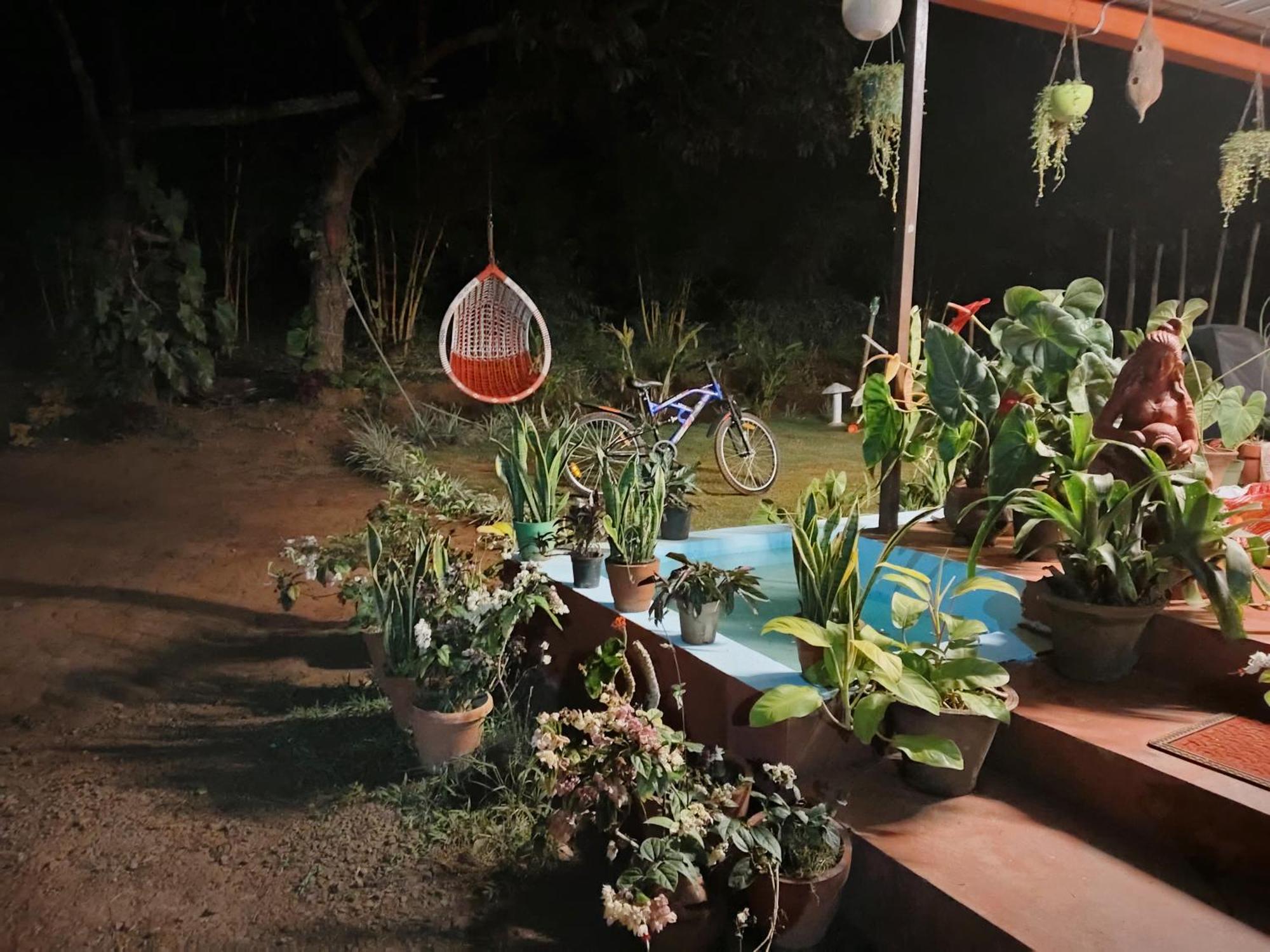 Coorg Coffee Park Farmstay Somvārpet Exteriör bild